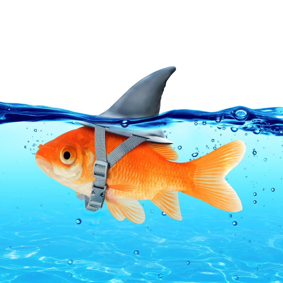 small-business-challenges